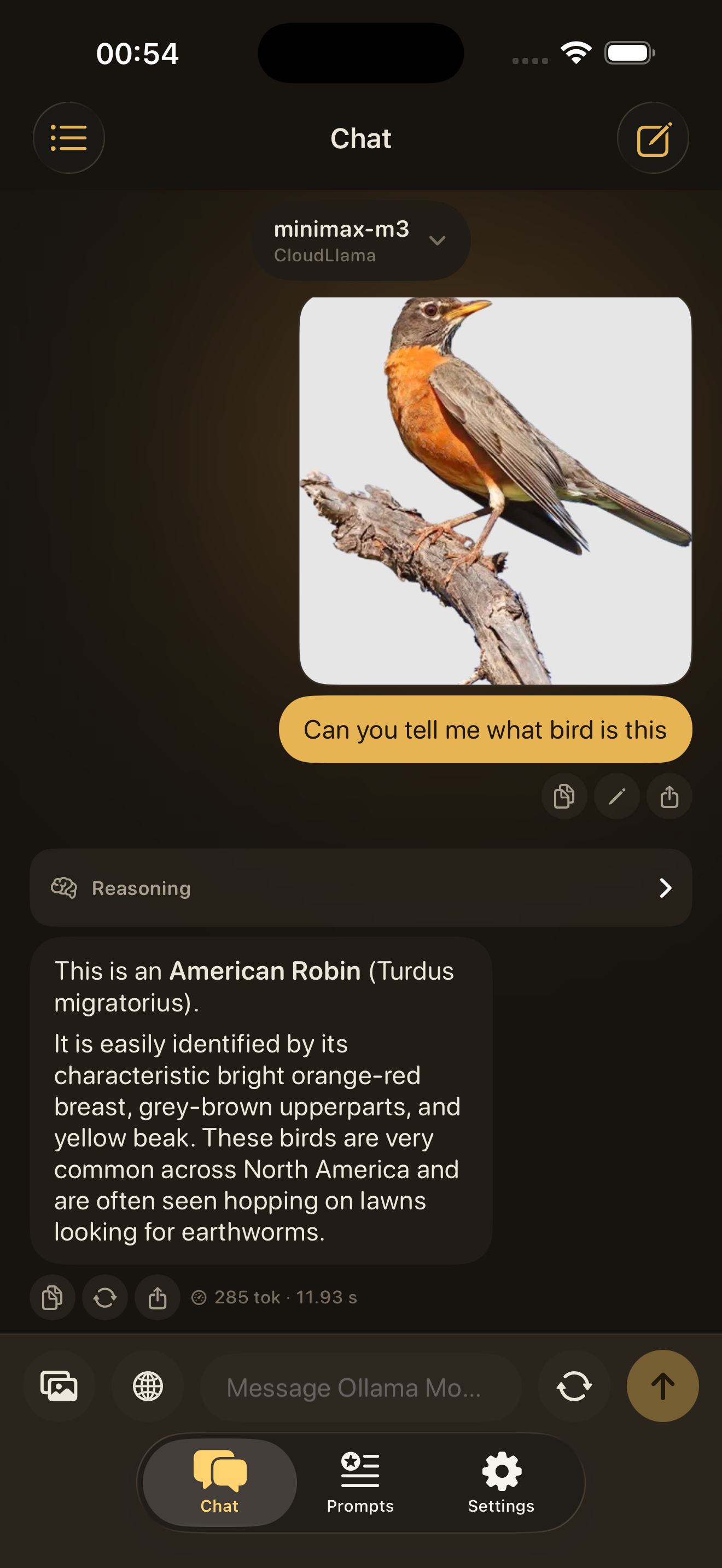 Ollama Mobile chat view on a phone screen